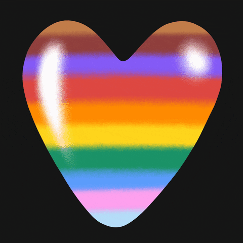 TikTok LGBTQIA+ voices